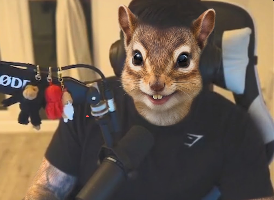 Chipmunk Personality